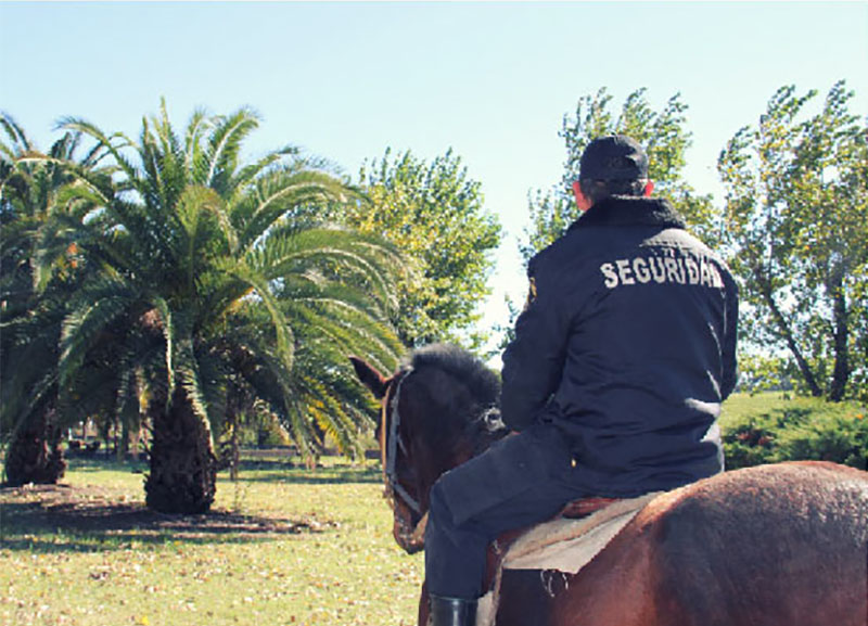 seguridad en caballo